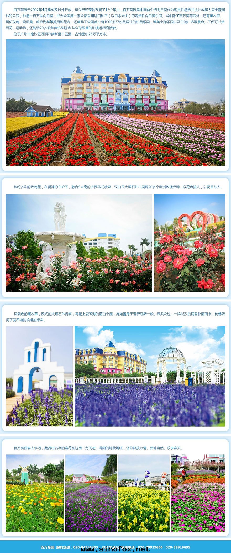 广州租車自(zì)駕周邊(biān)遊【百(bǎi)万(wàn)葵園(yuán)】